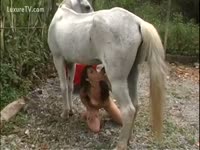 Beastiality Sex - White mustang masturbated